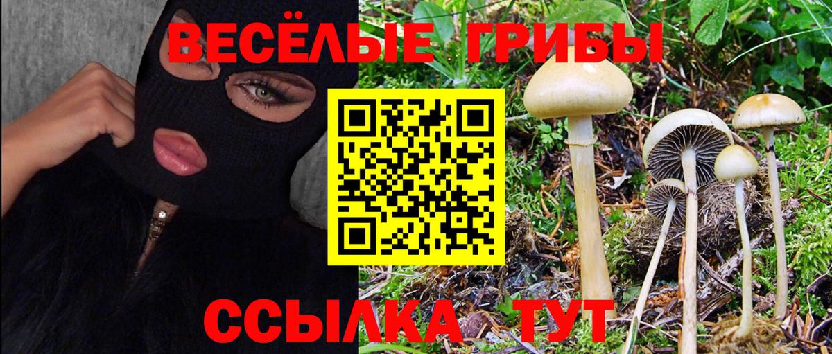 Галлюциногенные грибы прущие грибы  Вход с VPN  где купить наркоту  Губкинский 
